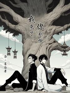 小说我的冰山