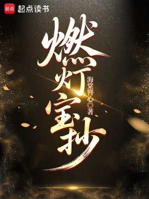 燃灯 宝书网
