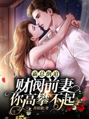 霸总倒追:财阀前妻你高攀不起小说